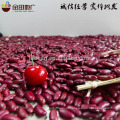 Bulk dark red kindey bean for sale pulses